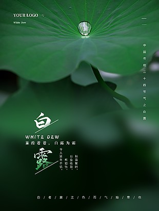 白露简约荷叶背景海报宣传