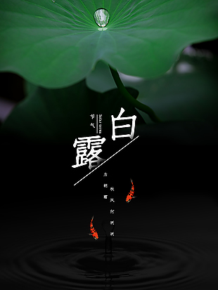 白露时节创意荷叶元素简约海报