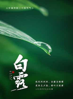 绿叶露珠高清质感白露时节海报模板