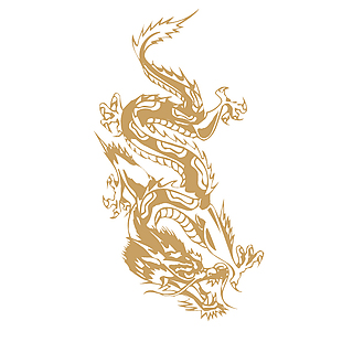 苍劲大气龙纹设计