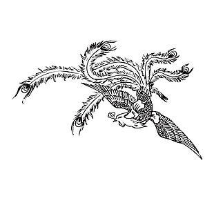 傳統古典鳳凰圖樣