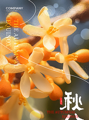 秋分节气质感背景桂花摄影图写实海报下载