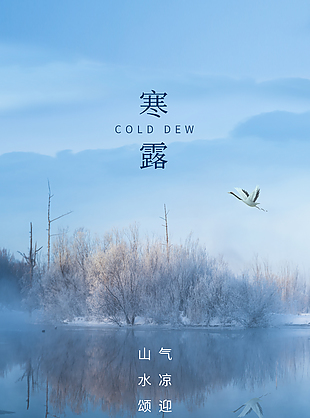 氣涼迎寒露創意簡約海報素材