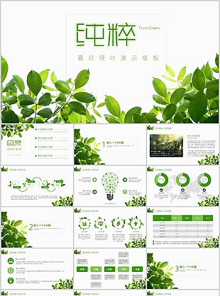 清新夏日绿叶工作总结汇报PPT模板