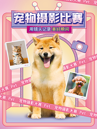 創意粉色寵物攝影比賽宣傳海報設計
