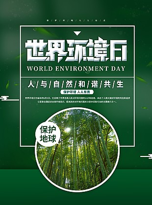 世界環(huán)境日保護地球主題海報