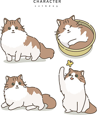 可愛布偶貓插畫設計