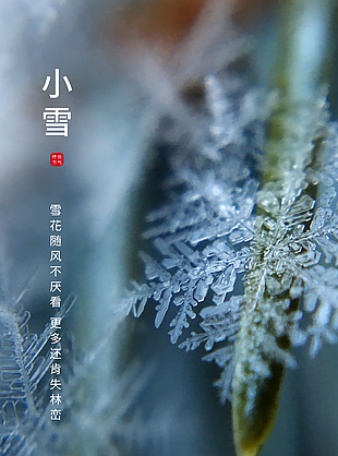 小雪傳統節氣攝影圖簡約海報下載