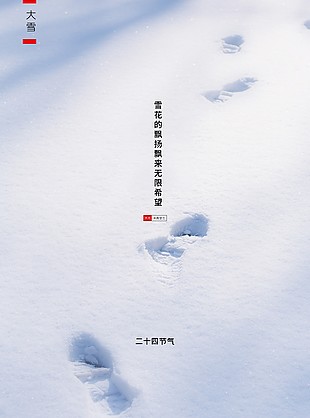 雪花纷飞传统节气海报模板