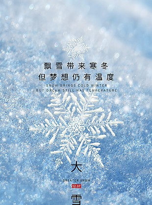 大雪时节晶莹雪花元素海报