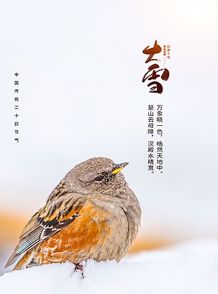 楚山云母障大雪节气创意海报
