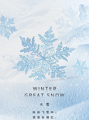大雪時節清冷意境海報
