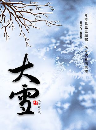 雪落枝头创意节气海报