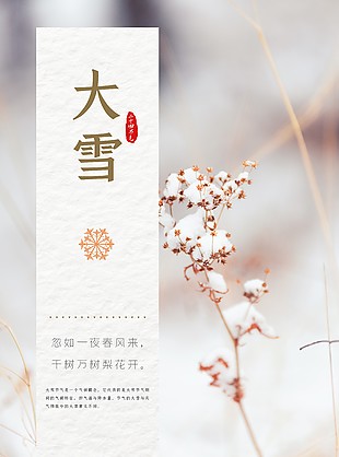 大雪节气简约插图海报模板