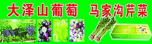 大泽山马家沟芹菜门头