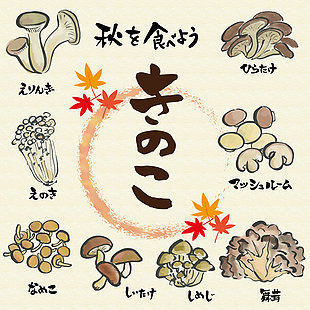 日式菌菇美食元素插畫