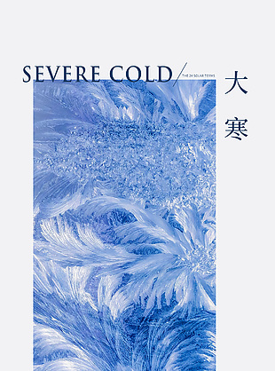 大寒已至雜志封面潮流海報設計