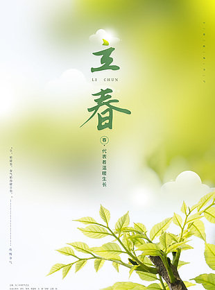 24節(jié)氣之立春樹枝發(fā)芽攝影圖簡(jiǎn)約海報(bào)