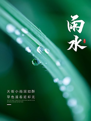 雨水時(shí)節(jié)清新綠植主題海報(bào)