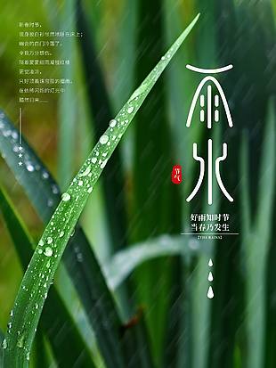 雨水創意字體節氣海報設計