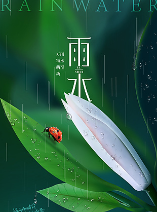 雨水节气简约绿色海报设计