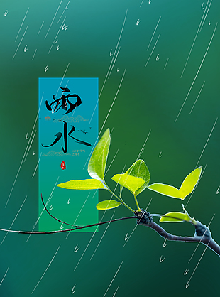 枝頭新綠雨水時(shí)節(jié)海報(bào)模板