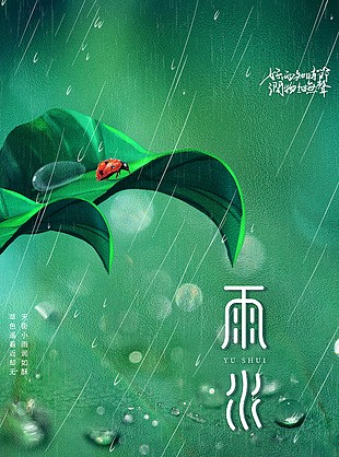 雨水時節露珠元素海報設計