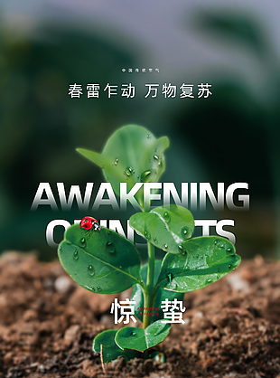 春雷乍動萬物復(fù)蘇驚蟄節(jié)氣高清攝影圖海報
