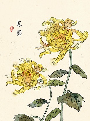 寒露时节菊花元素国风海报
