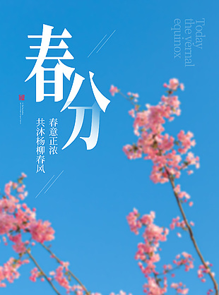 簡約櫻花攝影圖春分海報素材圖片
