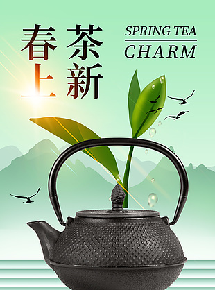 春茶上新茶壶摄影图背景海报