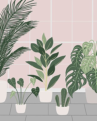 時尚家居綠植盆栽插畫