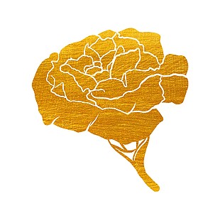 簡約鎏金質感花朵設計素材