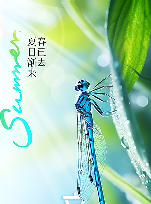 物华入夏创意绿色背景节气海报下载