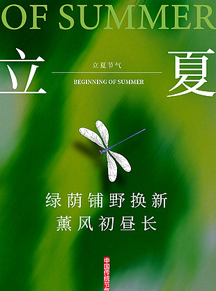 立夏綠野仙蹤創意質感海報