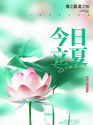 春之暮夏之始立夏荷花手繪插畫海報