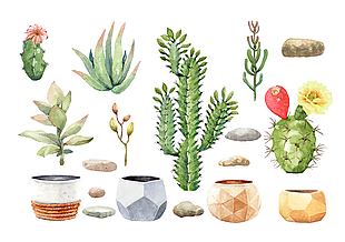 可愛(ài)多肉植物盆栽插畫(huà)