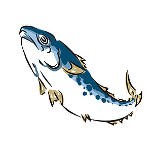 日料鯖魚插畫