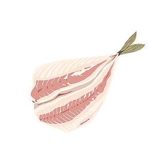 簡約海鮮生魚插畫