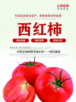 簡約線條風西紅柿海報