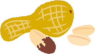 簡單花生仁插畫