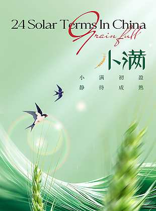 靜待成熟小滿節氣創意麥穗插畫海報