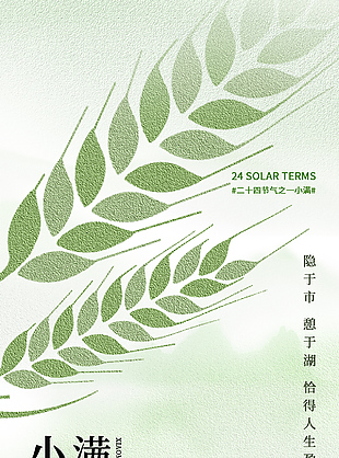 隱于市憩于湖小滿時節墻面紋理質感海報