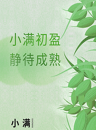 小滿節氣綠意麥穗紋理創意海報設計