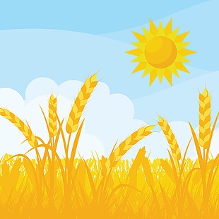 手繪夏季麥田豐收景色插畫