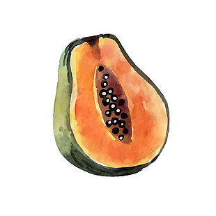 創意木瓜水果插畫