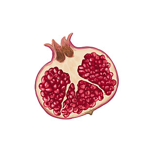 水彩石榴插畫