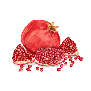 石榴果實插畫