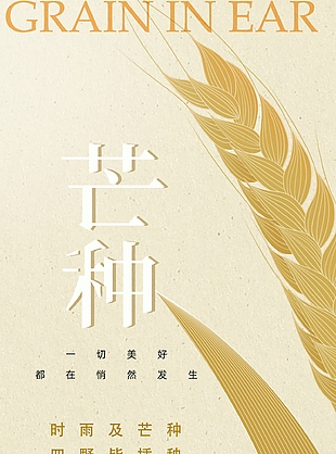 簡約時雨及芒種四野皆插秧節氣海報設計