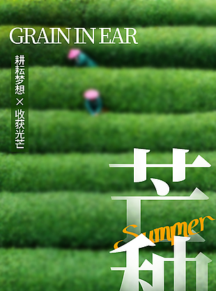 芒種忙忙割綠色梯田主視覺(jué)背景海報(bào)